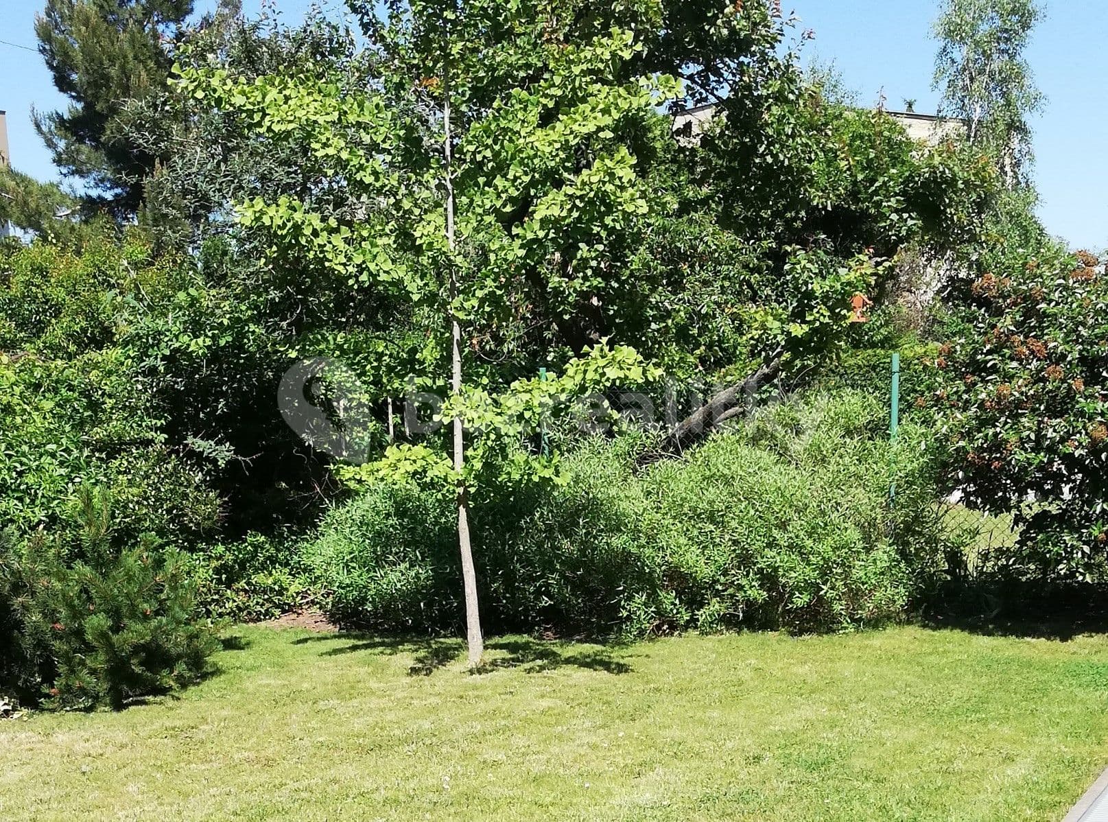 Prenájom bytu 3-izbový 91 m², Na Třebešíně, Praha, Praha Prenájom bytu 3-izbový 91 m², Na Třebešíně, Praha, Praha