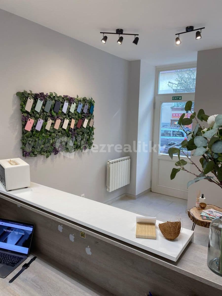 Prenájom nebytového priestoru 34 m², Záhřebská, Praha, Praha Prenájom nebytového priestoru 34 m², Záhřebská, Praha, Praha