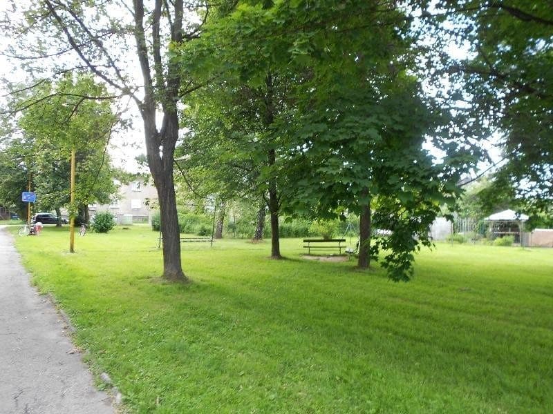 Prenájom bytu 2-izbový 55 m², Okružní, Havířov, Moravskoslezský kraj Prenájom bytu 2-izbový 55 m², Okružní, Havířov, Moravskoslezský kraj