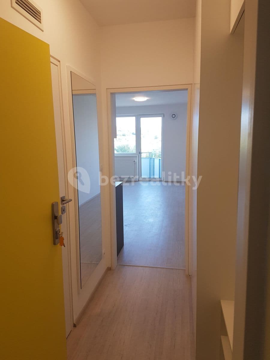 Prenájom bytu 1-izbový 36 m², Reissigova, Brno, Jihomoravský kraj Prenájom bytu 1-izbový 36 m², Reissigova, Brno, Jihomoravský kraj