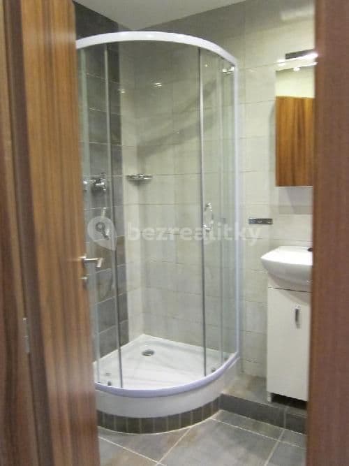 Prenájom bytu 1-izbový 41 m², Minická, Praha, Praha Prenájom bytu 1-izbový 41 m², Minická, Praha, Praha