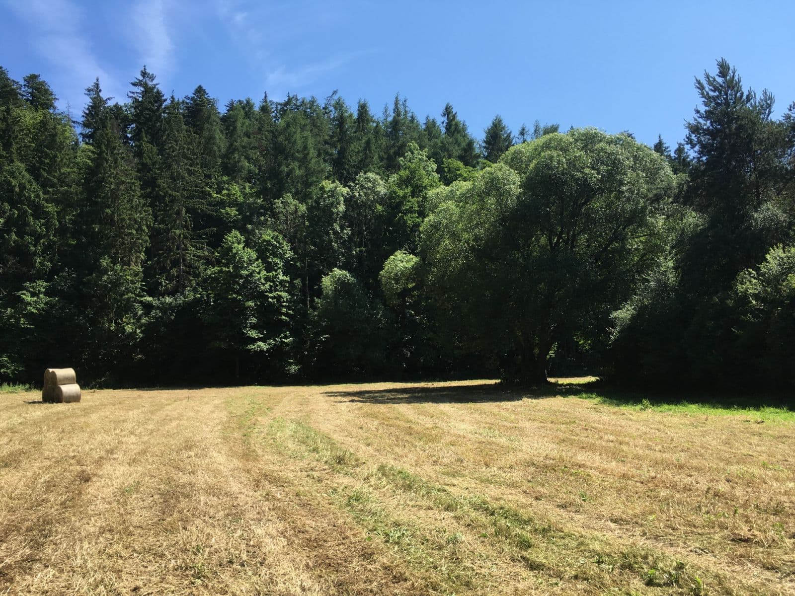 Predaj pozemku 6.060 m², Hlavní, Družec, Středočeský kraj Predaj pozemku 6.060 m², Hlavní, Družec, Středočeský kraj