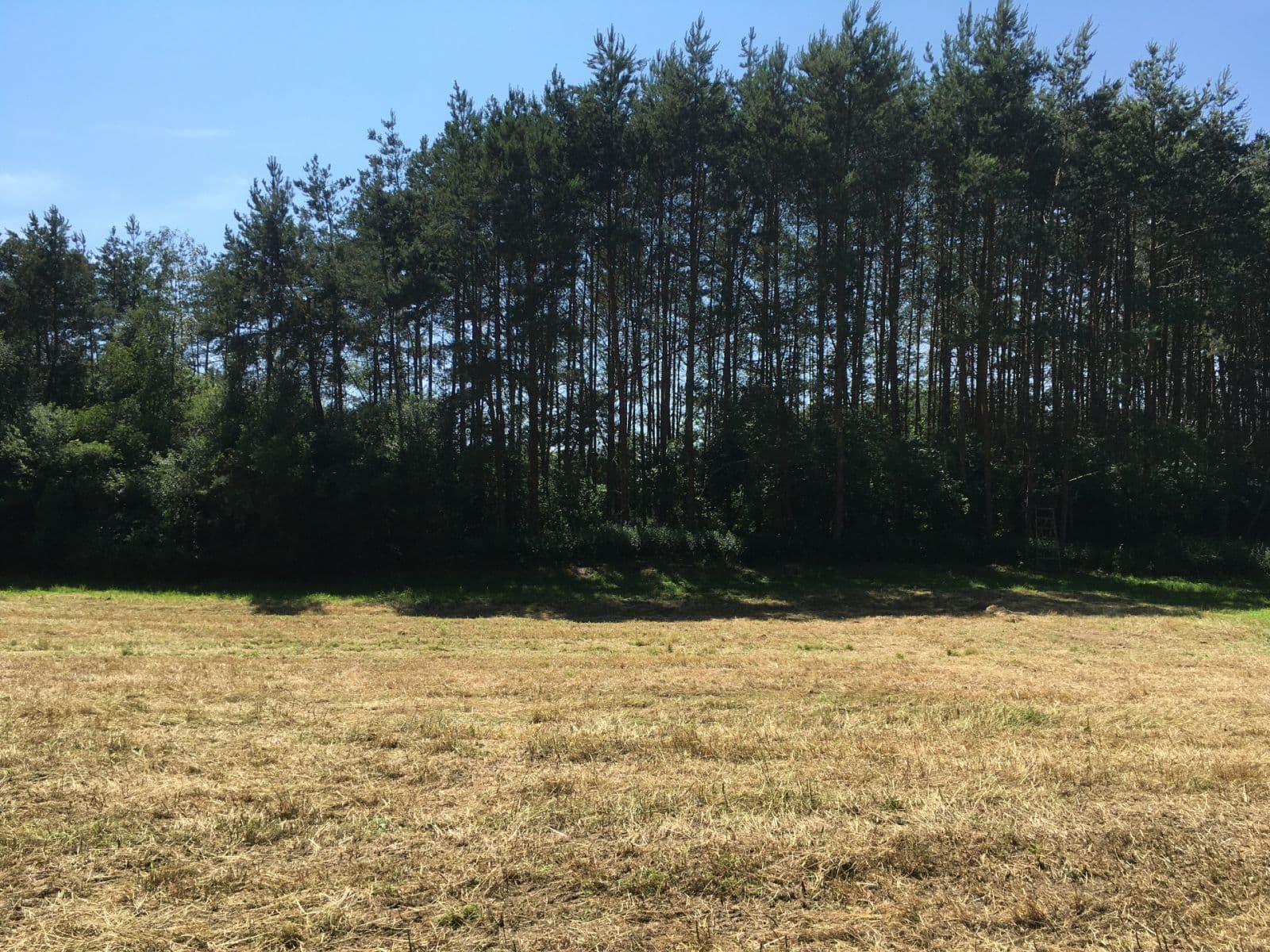 Predaj pozemku 6.060 m², Hlavní, Družec, Středočeský kraj Predaj pozemku 6.060 m², Hlavní, Družec, Středočeský kraj