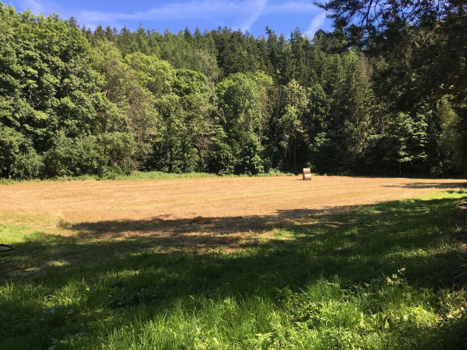 Predaj pozemku 6.060 m², Hlavní, Družec, Středočeský kraj Predaj pozemku 6.060 m², Hlavní, Družec, Středočeský kraj