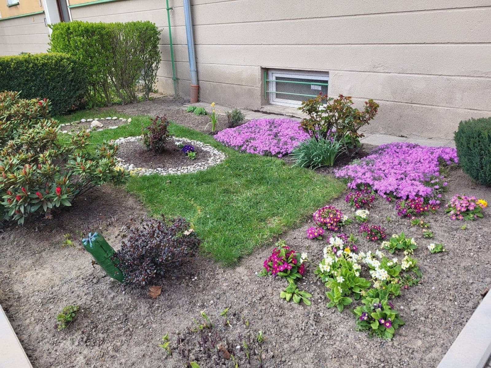 Prenájom bytu 1-izbový 31 m², Sadová, Havířov, Moravskoslezský kraj Prenájom bytu 1-izbový 31 m², Sadová, Havířov, Moravskoslezský kraj