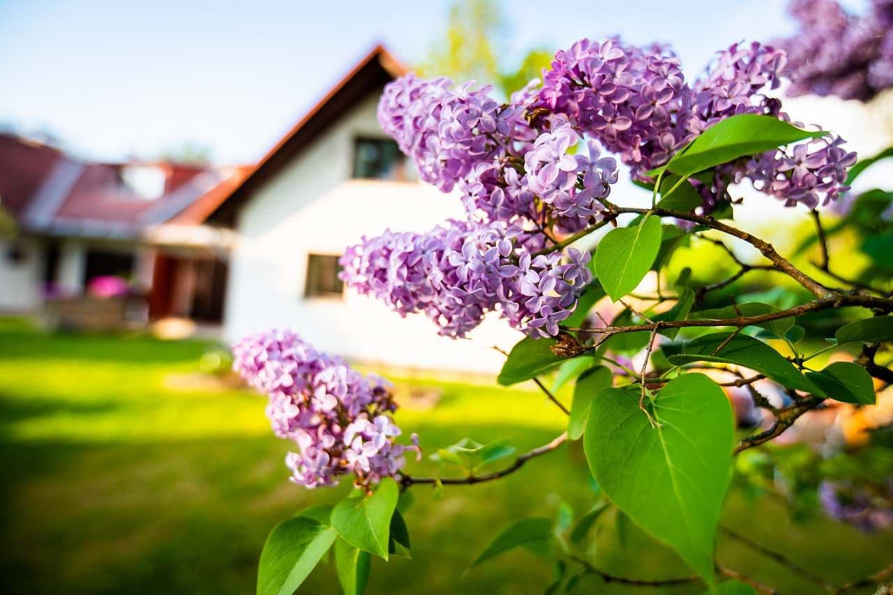 Prenájom rekreačného objektu, Horní Planá, Jihočeský kraj Prenájom rekreačného objektu, Horní Planá, Jihočeský kraj