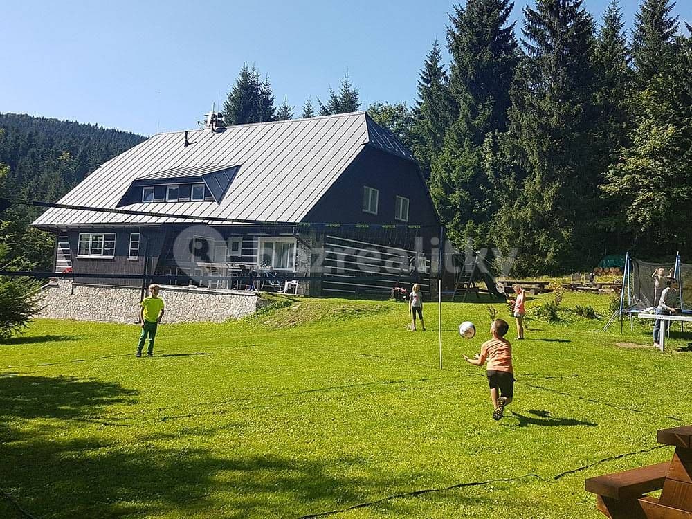 Prenájom rekreačného objektu, Deštné v Orlických horách, Královéhradecký kraj Prenájom rekreačného objektu, Deštné v Orlických horách, Královéhradecký kraj