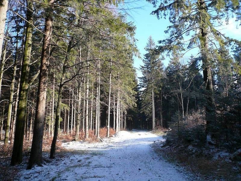 Prenájom rekreačného objektu, Česká Ves, Olomoucký kraj Prenájom rekreačného objektu, Česká Ves, Olomoucký kraj