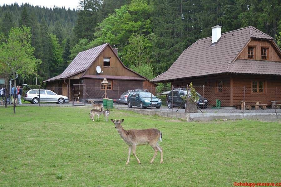 Prenájom rekreačného objektu, Velké Karlovice, Zlínský kraj Prenájom rekreačného objektu, Velké Karlovice, Zlínský kraj