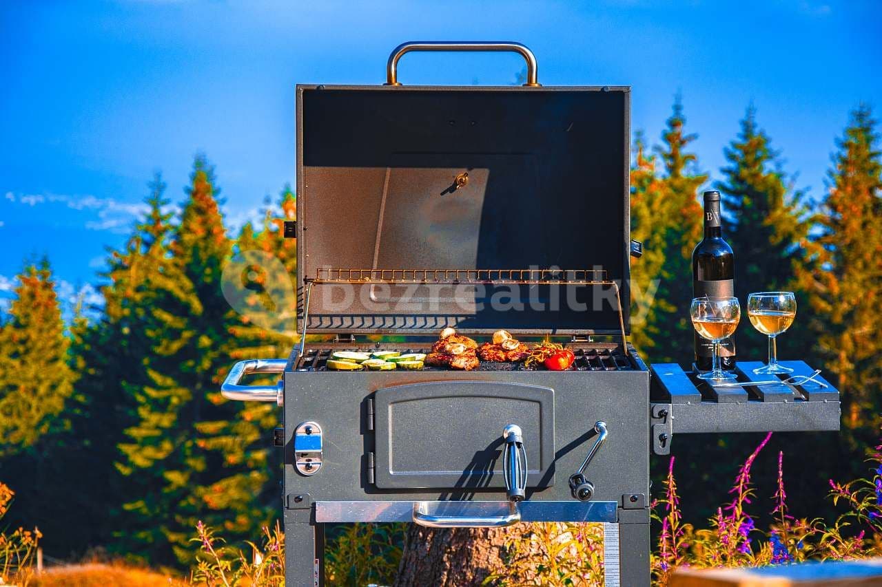Prenájom rekreačného objektu, Janské Lázně, Královéhradecký kraj Prenájom rekreačného objektu, Janské Lázně, Královéhradecký kraj
