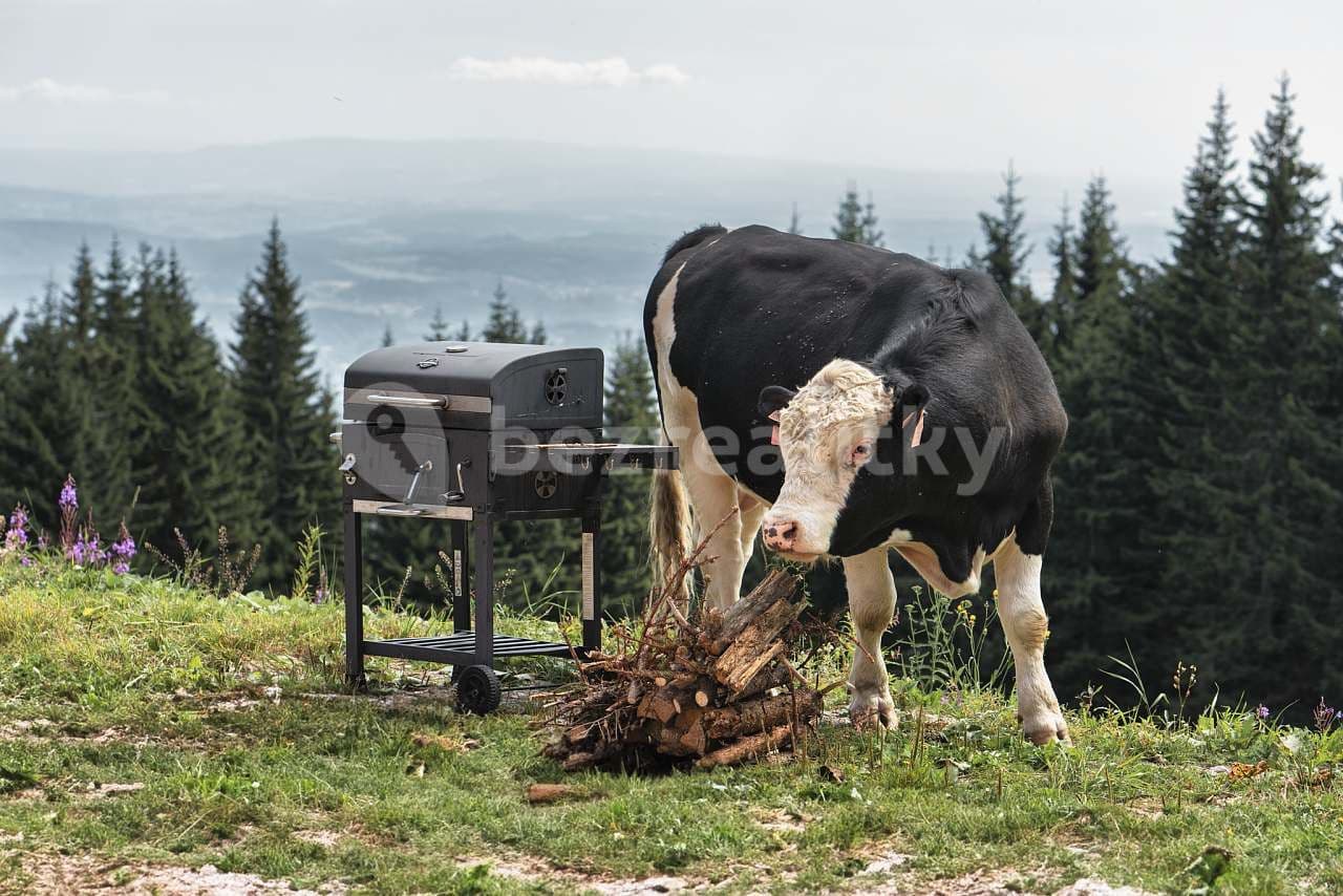 Prenájom rekreačného objektu, Janské Lázně, Královéhradecký kraj Prenájom rekreačného objektu, Janské Lázně, Královéhradecký kraj