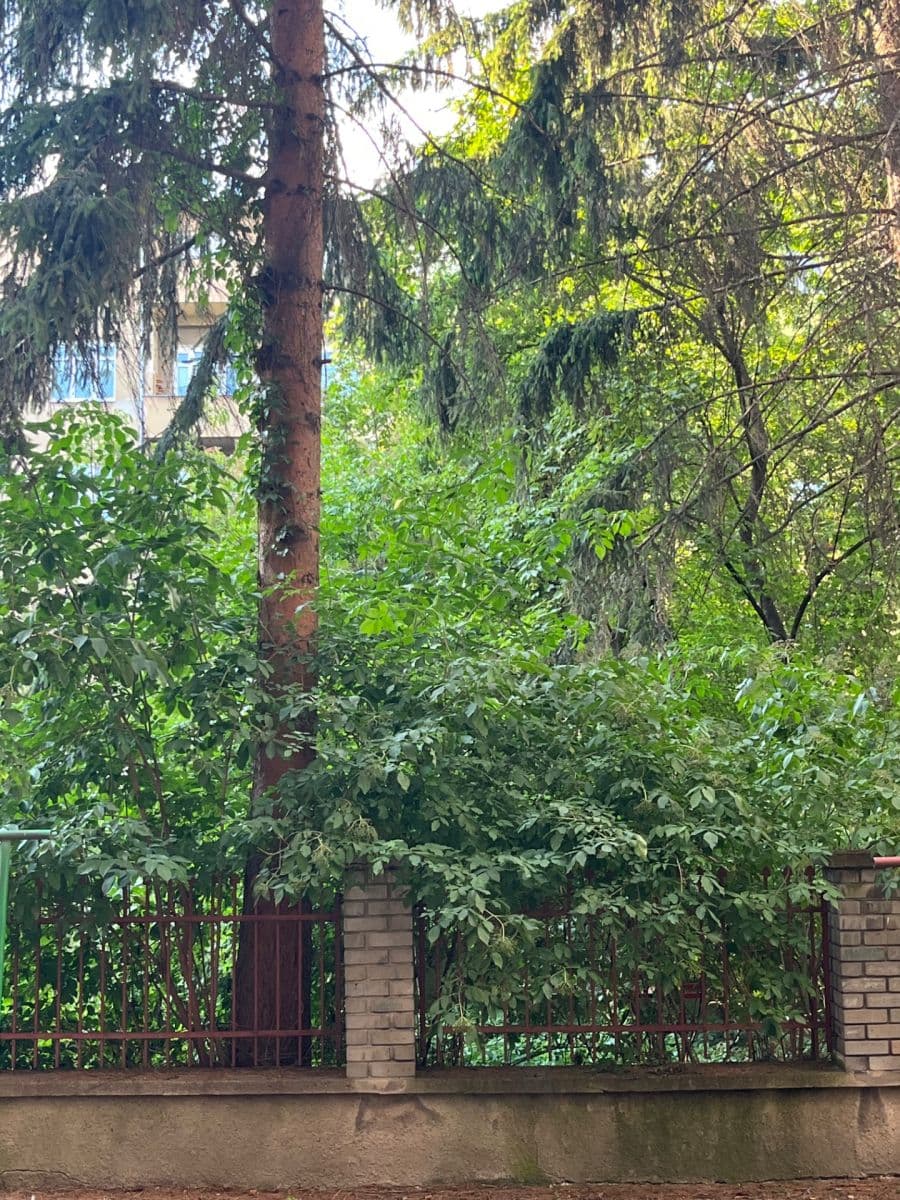 Prenájom bytu 1-izbový 25 m², Na Dolinách, Praha, Praha Prenájom bytu 1-izbový 25 m², Na Dolinách, Praha, Praha