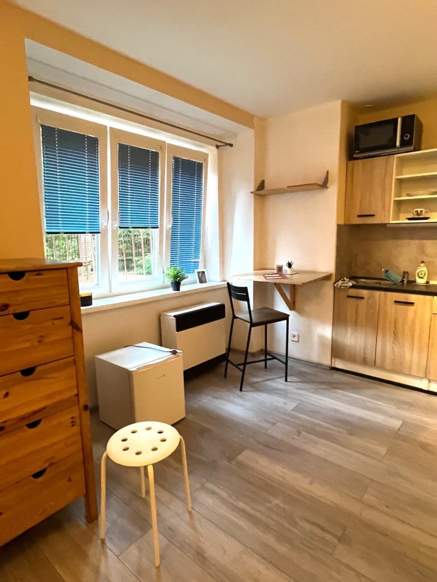 Prenájom bytu 1-izbový 25 m², Na Dolinách, Praha, Praha Prenájom bytu 1-izbový 25 m², Na Dolinách, Praha, Praha