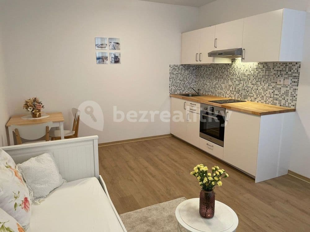 Prenájom bytu 1-izbový 25 m², Hlušičkova, Praha, Praha Prenájom bytu 1-izbový 25 m², Hlušičkova, Praha, Praha