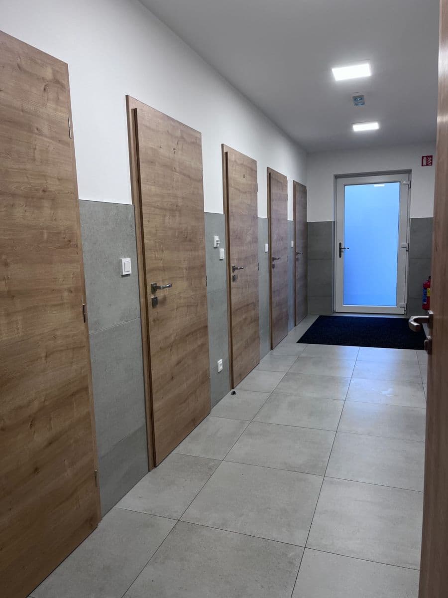 Prenájom bytu 2-izbový 48 m², Břetislavova, Brno, Jihomoravský kraj Prenájom bytu 2-izbový 48 m², Břetislavova, Brno, Jihomoravský kraj