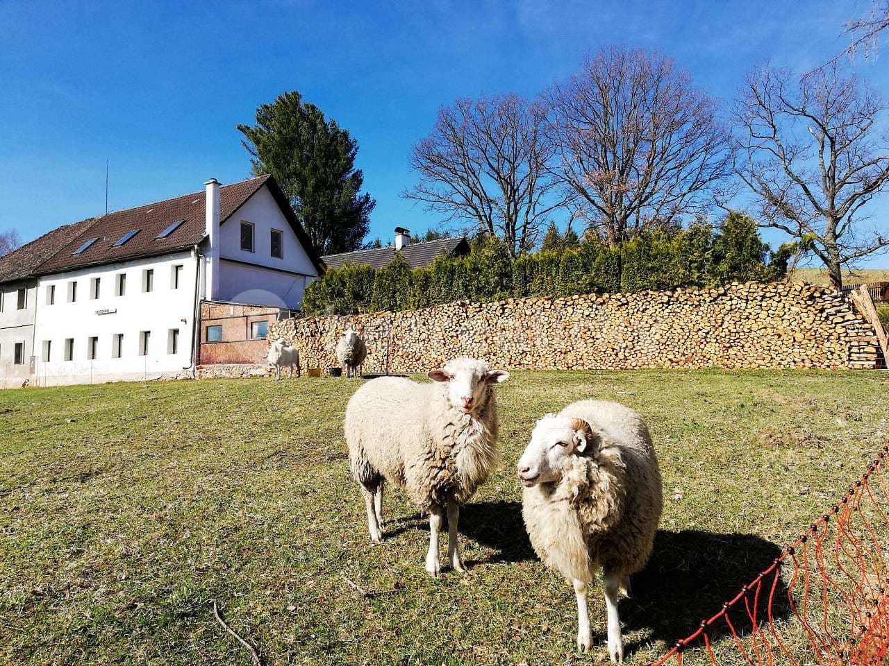 Prenájom rekreačného objektu, Nová Pec, Jihočeský kraj Prenájom rekreačného objektu, Nová Pec, Jihočeský kraj