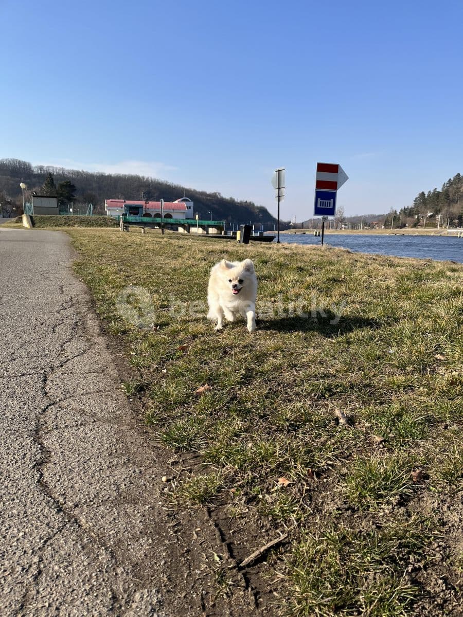 Prenájom bytu 2-izbový 51 m², Pod Saharou, Libčice nad Vltavou, Středočeský kraj Prenájom bytu 2-izbový 51 m², Pod Saharou, Libčice nad Vltavou, Středočeský kraj
