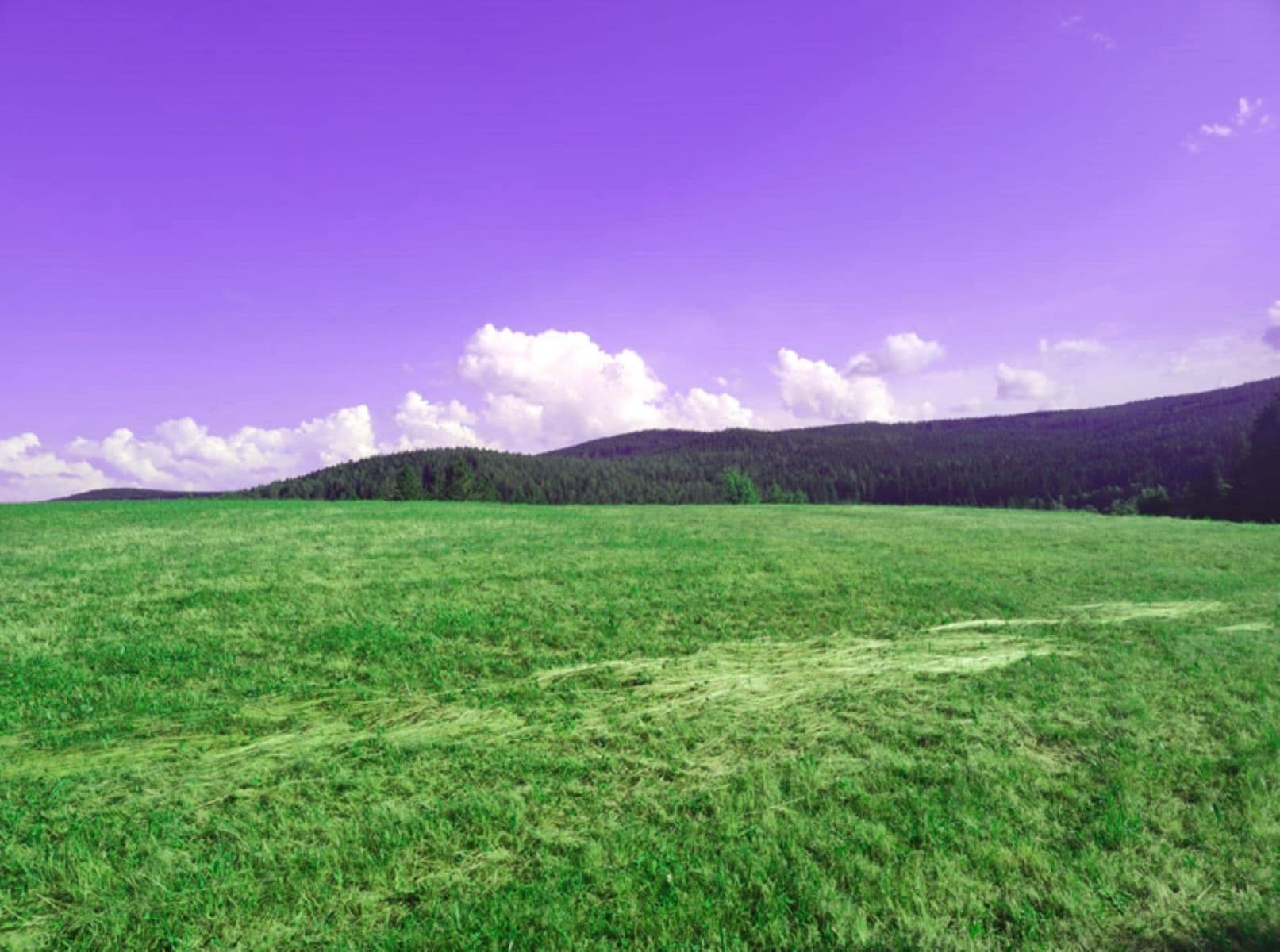 Predaj pozemku 7.699 m², Zdíkov, Jihočeský kraj Predaj pozemku 7.699 m², Zdíkov, Jihočeský kraj