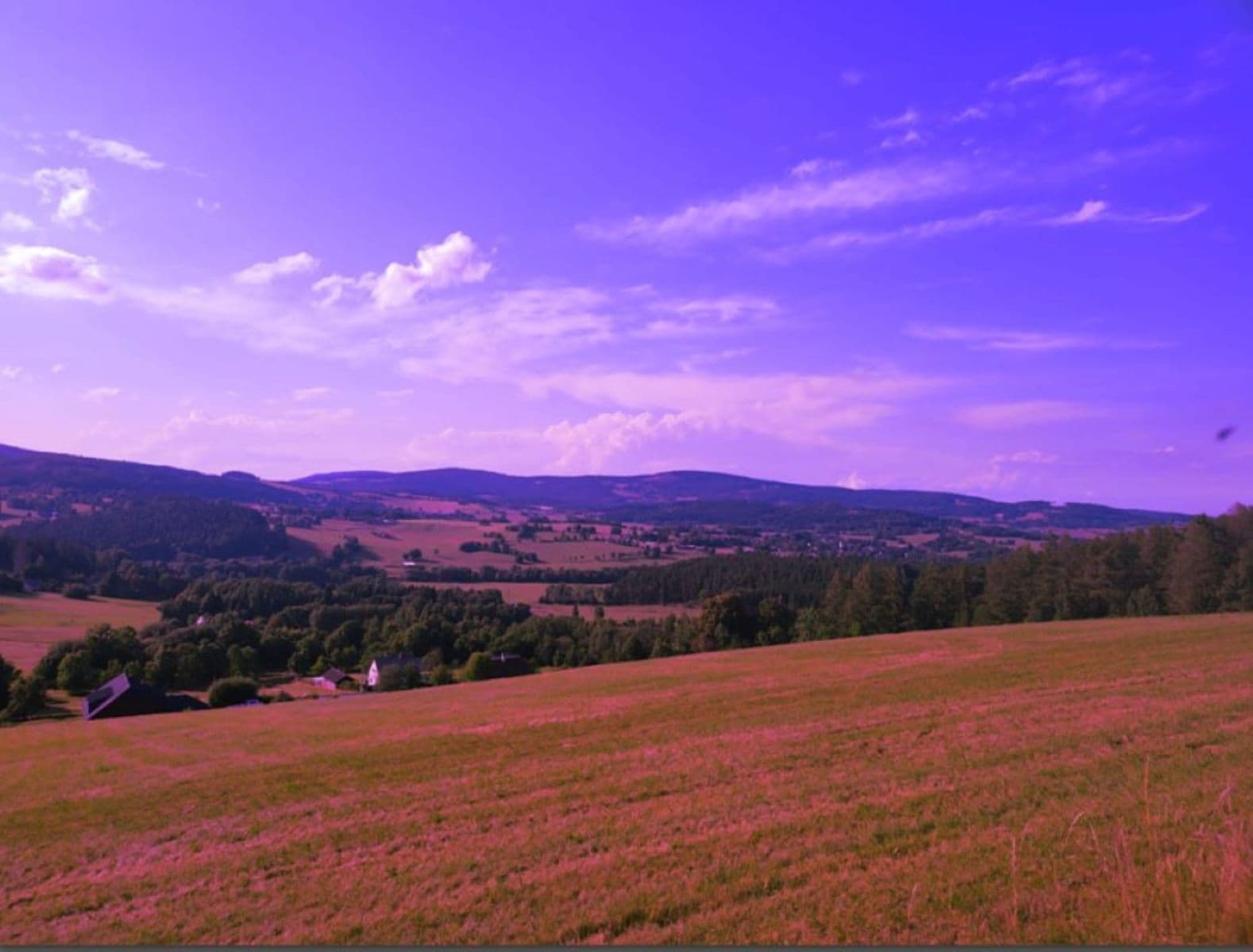 Predaj pozemku 7.699 m², Zdíkov, Jihočeský kraj Predaj pozemku 7.699 m², Zdíkov, Jihočeský kraj