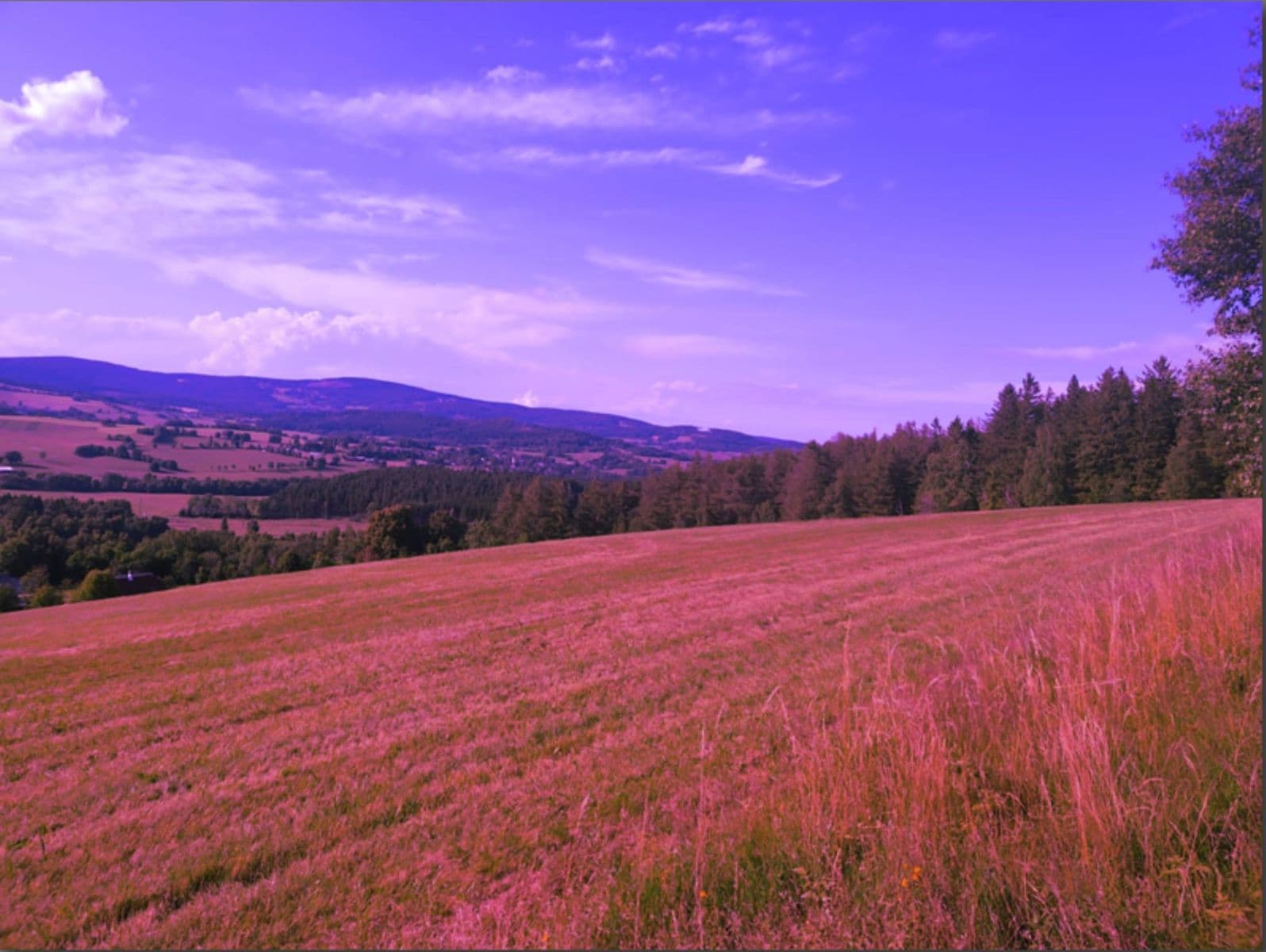 Predaj pozemku 7.699 m², Zdíkov, Jihočeský kraj Predaj pozemku 7.699 m², Zdíkov, Jihočeský kraj