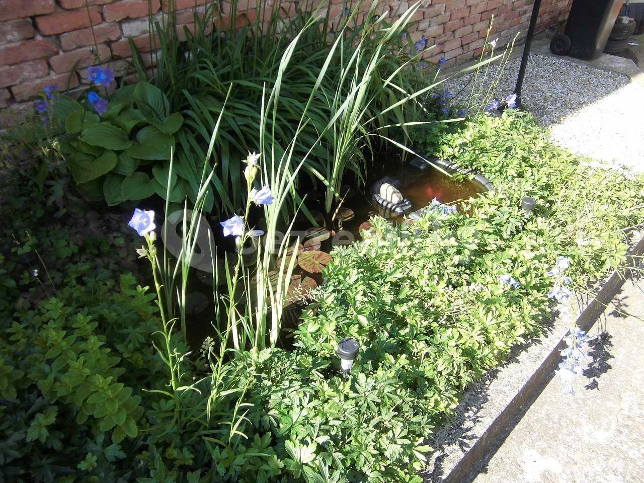 Prenájom rekreačného objektu, Šakvice, Jihomoravský kraj Prenájom rekreačného objektu, Šakvice, Jihomoravský kraj