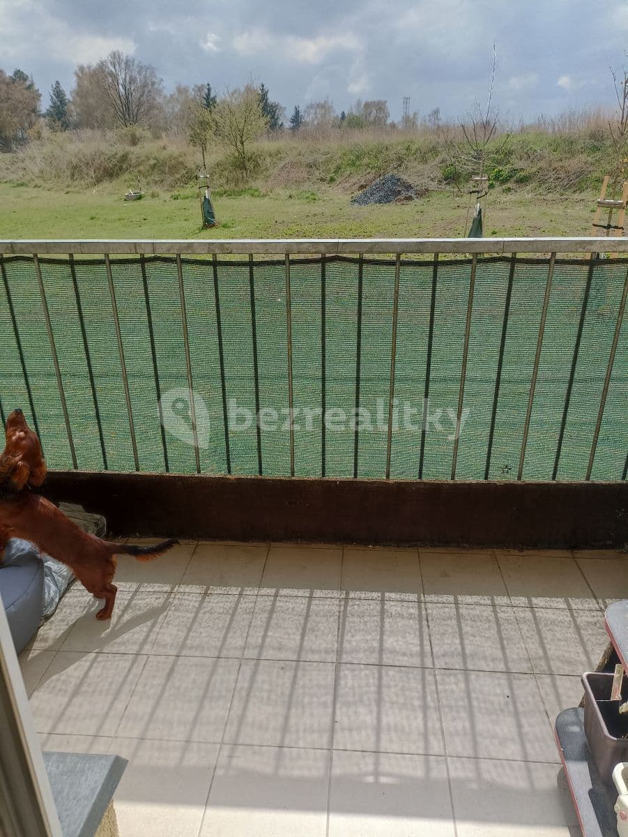 Prenájom bytu 1-izbový 38 m², V Honech, Klecany, Středočeský kraj Prenájom bytu 1-izbový 38 m², V Honech, Klecany, Středočeský kraj