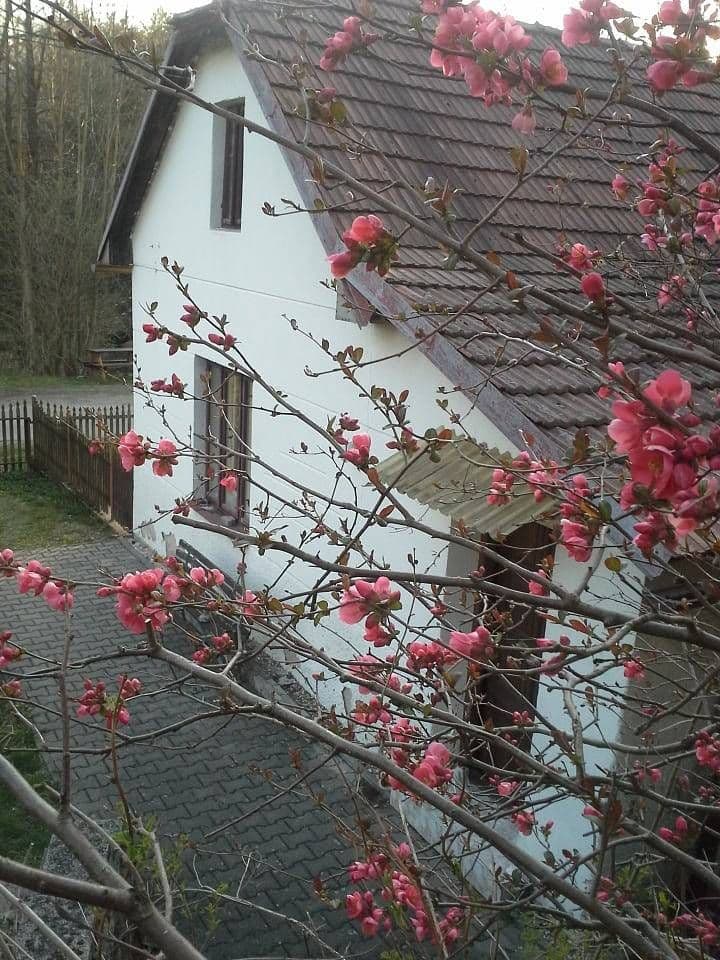 Prenájom rekreačného objektu, Leštinka, Pardubický kraj Prenájom rekreačného objektu, Leštinka, Pardubický kraj