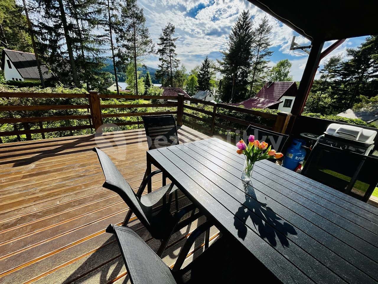 Prenájom rekreačného objektu, Frymburk, Jihočeský kraj Prenájom rekreačného objektu, Frymburk, Jihočeský kraj