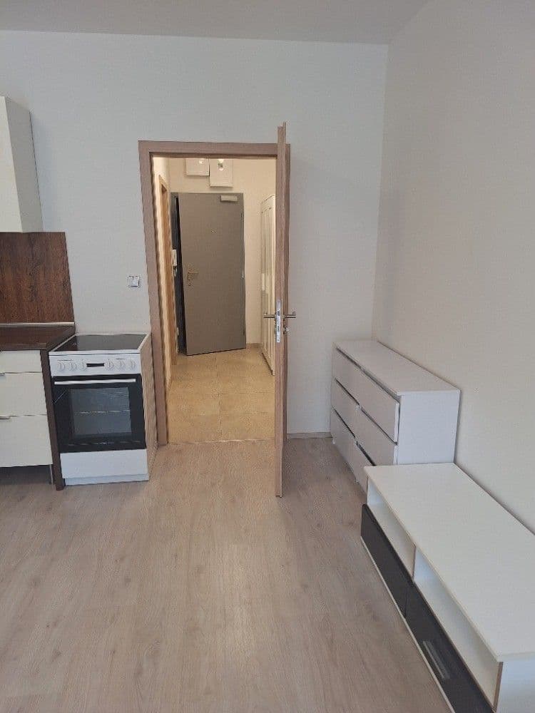 Prenájom bytu 1-izbový 54 m², Vídeňská, Brno, Jihomoravský kraj Prenájom bytu 1-izbový 54 m², Vídeňská, Brno, Jihomoravský kraj