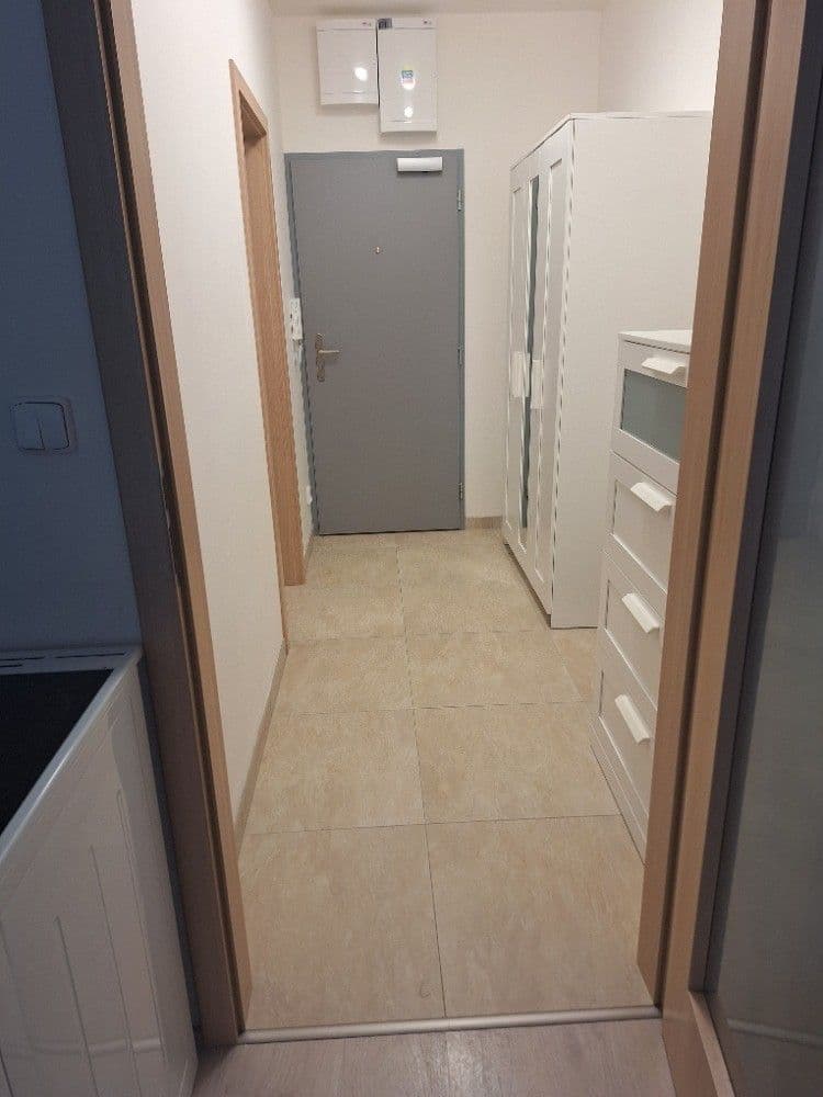 Prenájom bytu 1-izbový 54 m², Vídeňská, Brno, Jihomoravský kraj Prenájom bytu 1-izbový 54 m², Vídeňská, Brno, Jihomoravský kraj
