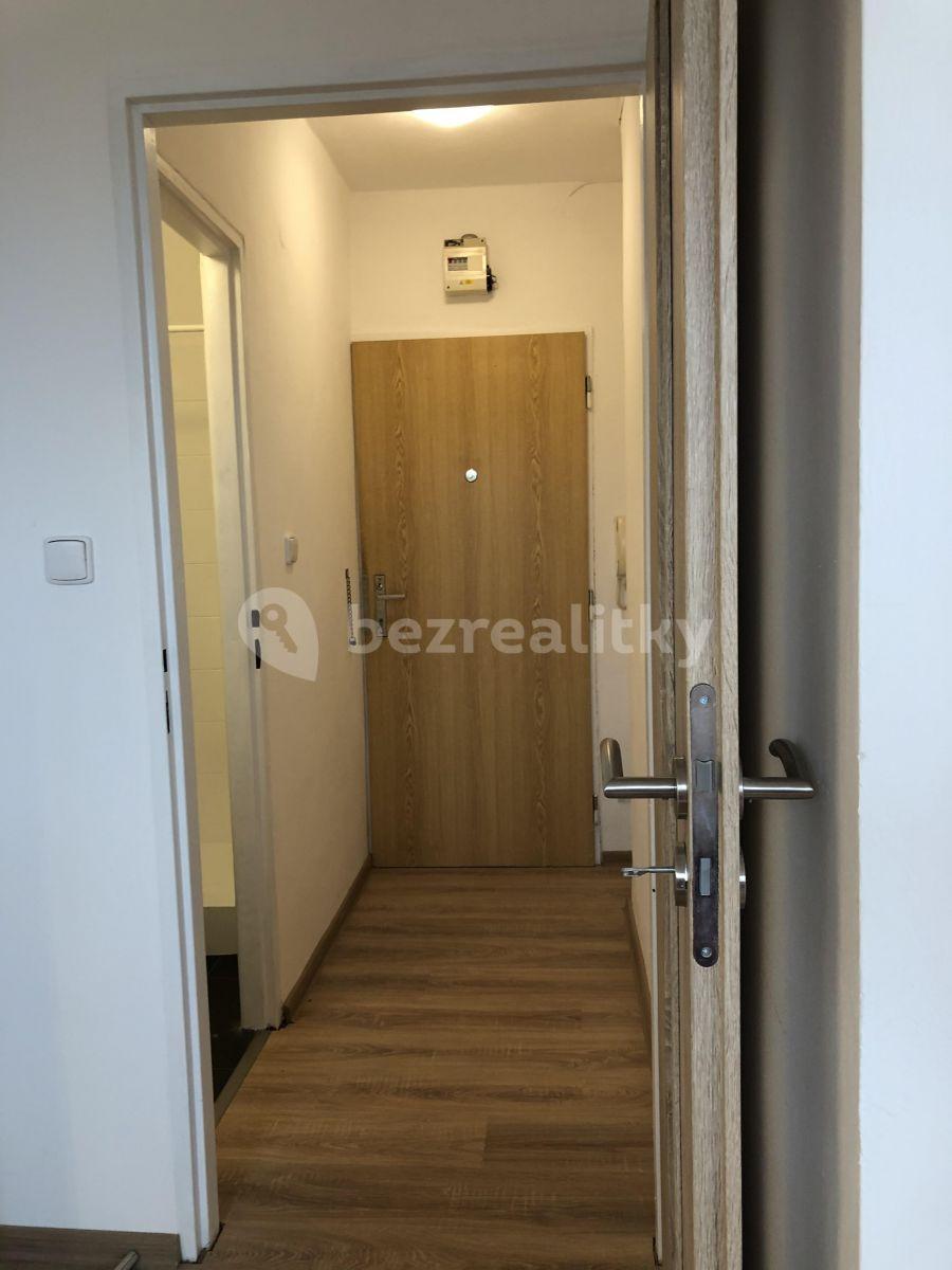 Prenájom bytu 1-izbový 30 m², Šestajovická, Praha, Praha