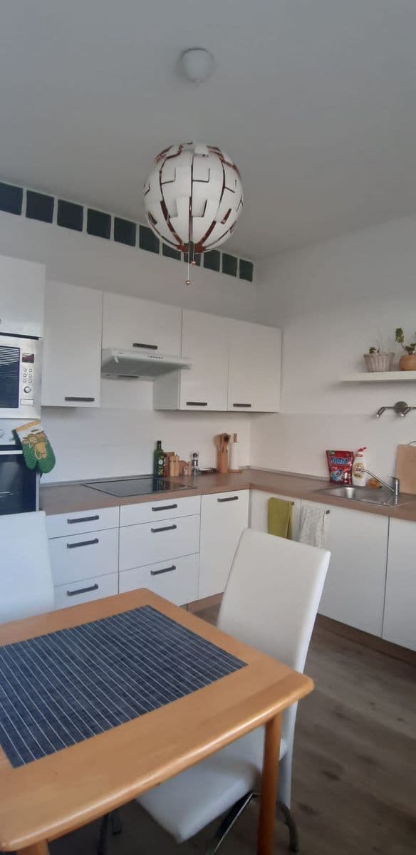 Prenájom bytu 1-izbový 33 m², Větrná, České Budějovice, Jihočeský kraj Prenájom bytu 1-izbový 33 m², Větrná, České Budějovice, Jihočeský kraj