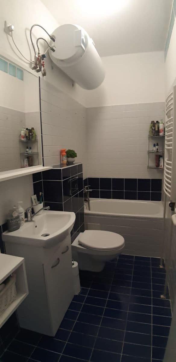 Prenájom bytu 1-izbový 33 m², Větrná, České Budějovice, Jihočeský kraj Prenájom bytu 1-izbový 33 m², Větrná, České Budějovice, Jihočeský kraj
