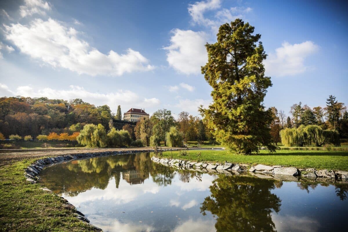Prenájom bytu 3-izbový 68 m², Malířská, Praha, Praha Prenájom bytu 3-izbový 68 m², Malířská, Praha, Praha