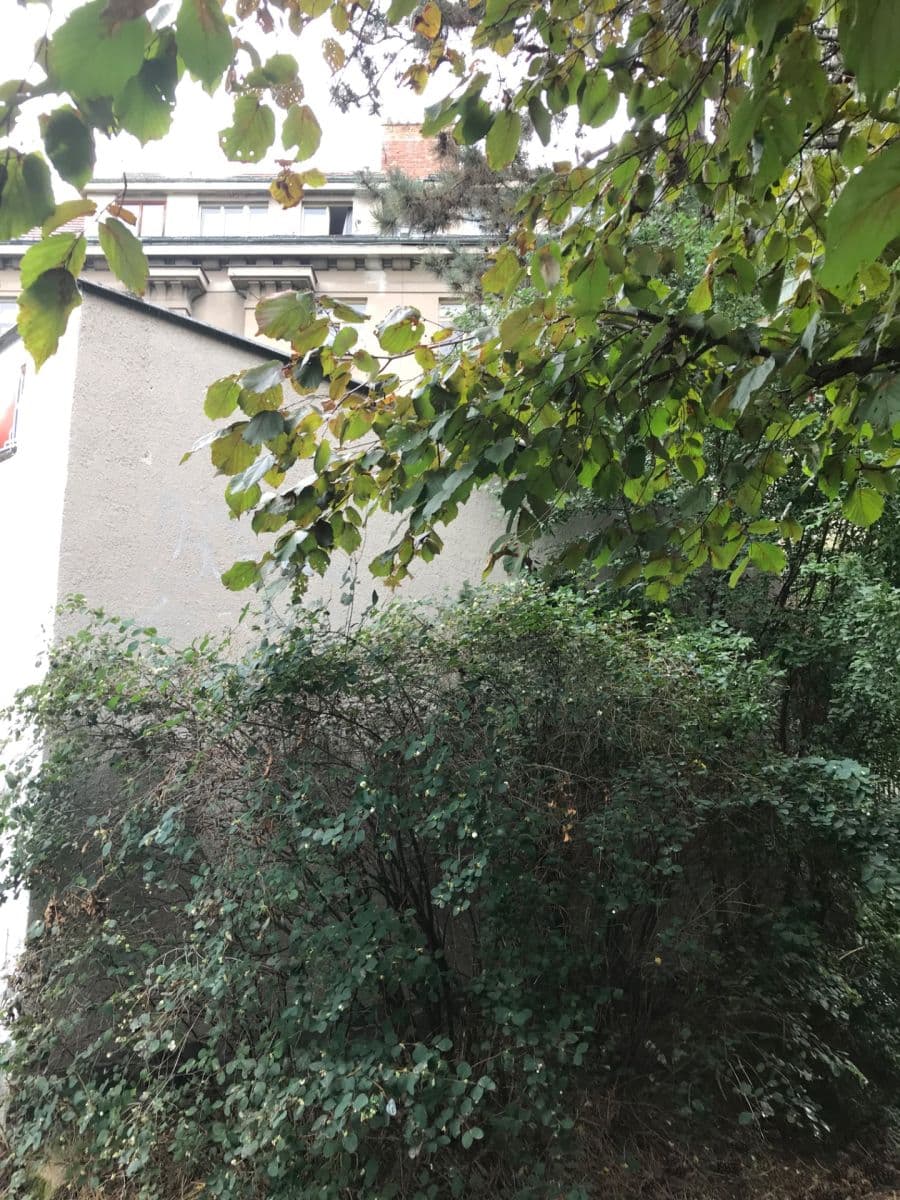 Predaj nebytového priestoru 27 m², Pod Pekařkou, Praha, Praha Predaj nebytového priestoru 27 m², Pod Pekařkou, Praha, Praha