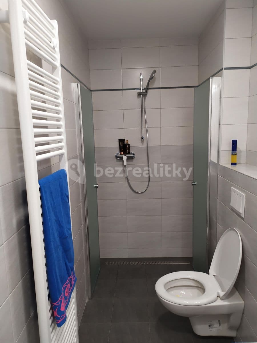 Prenájom bytu 1-izbový 25 m², Perucká, Praha, Praha Prenájom bytu 1-izbový 25 m², Perucká, Praha, Praha