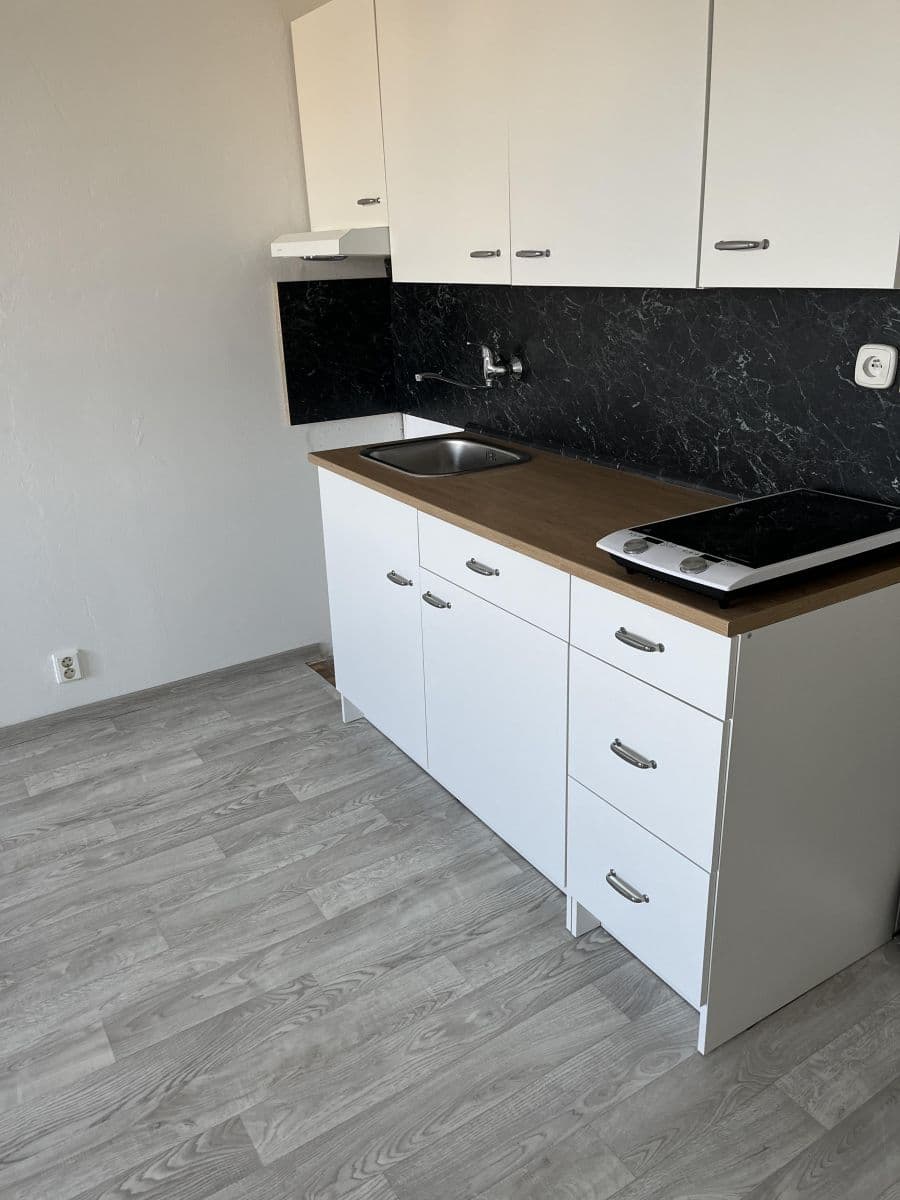 Prenájom bytu 1-izbový 25 m², Horácké náměstí, Brno, Jihomoravský kraj Prenájom bytu 1-izbový 25 m², Horácké náměstí, Brno, Jihomoravský kraj