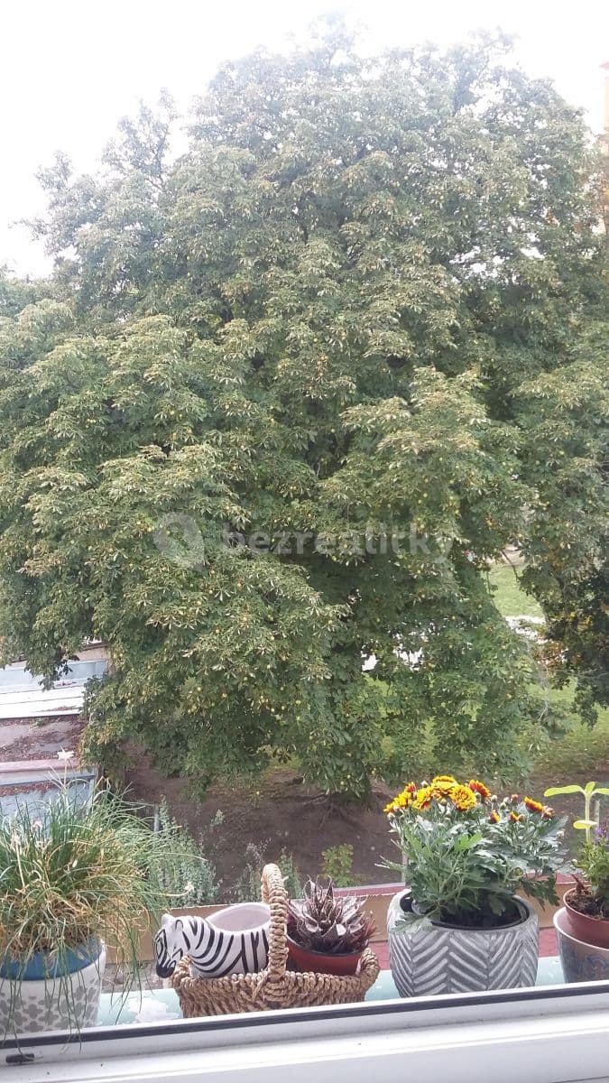 Prenájom bytu 1-izbový 40 m², V Hlinkách, Beroun, Středočeský kraj Prenájom bytu 1-izbový 40 m², V Hlinkách, Beroun, Středočeský kraj