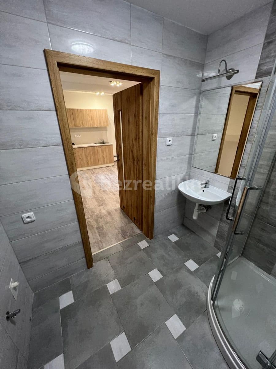 Prenájom bytu 1-izbový 30 m², Netušilova, Brno, Jihomoravský kraj Prenájom bytu 1-izbový 30 m², Netušilova, Brno, Jihomoravský kraj