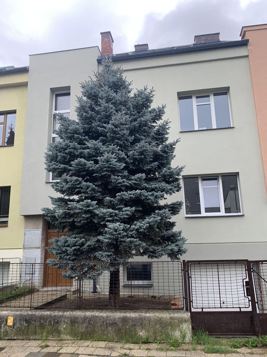 Prenájom bytu 2-izbový 75 m², Mišákova, Olomouc, Olomoucký kraj Prenájom bytu 2-izbový 75 m², Mišákova, Olomouc, Olomoucký kraj