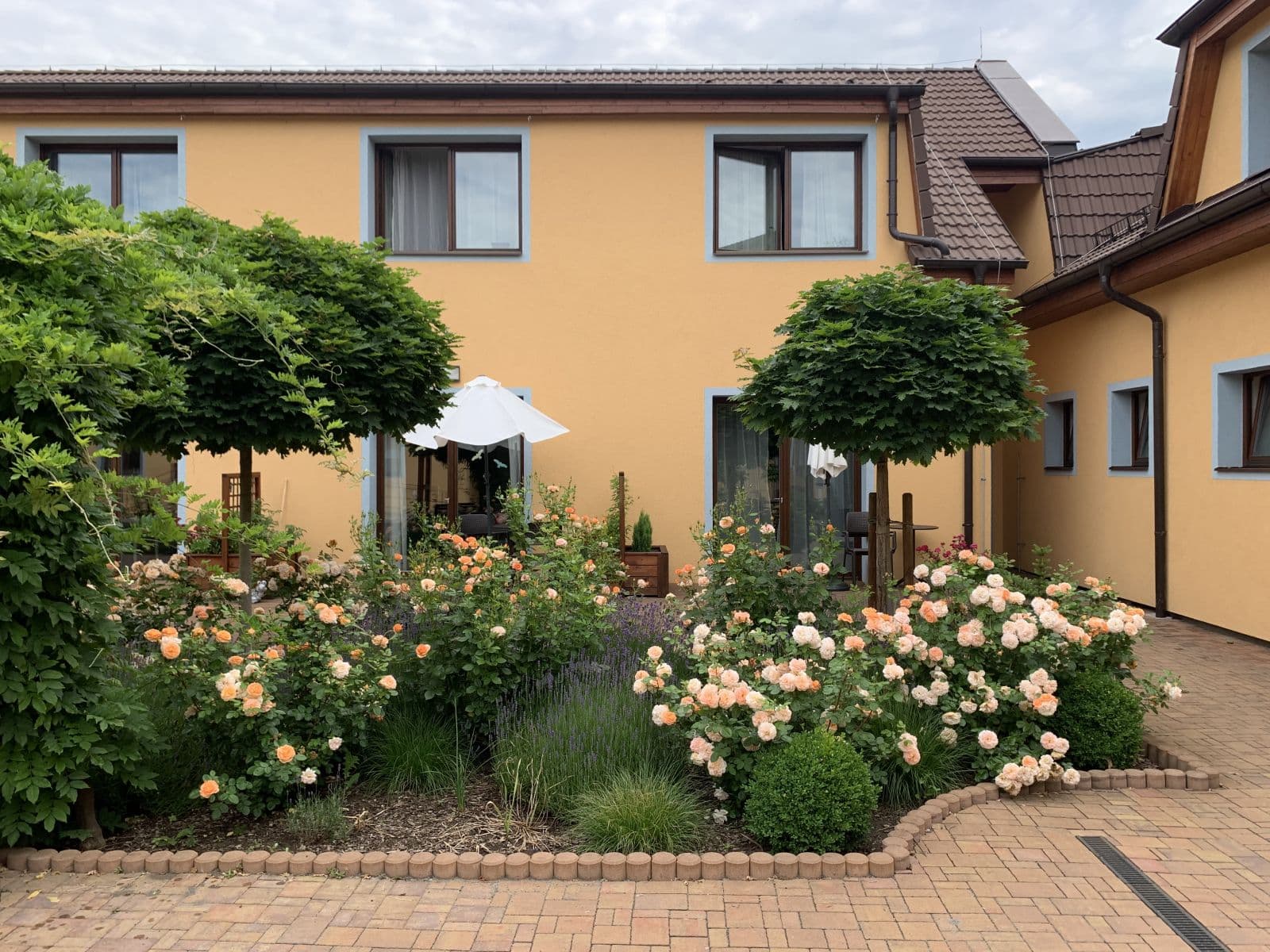 Prenájom bytu 1-izbový 34 m², Brázdim, Středočeský kraj Prenájom bytu 1-izbový 34 m², Brázdim, Středočeský kraj