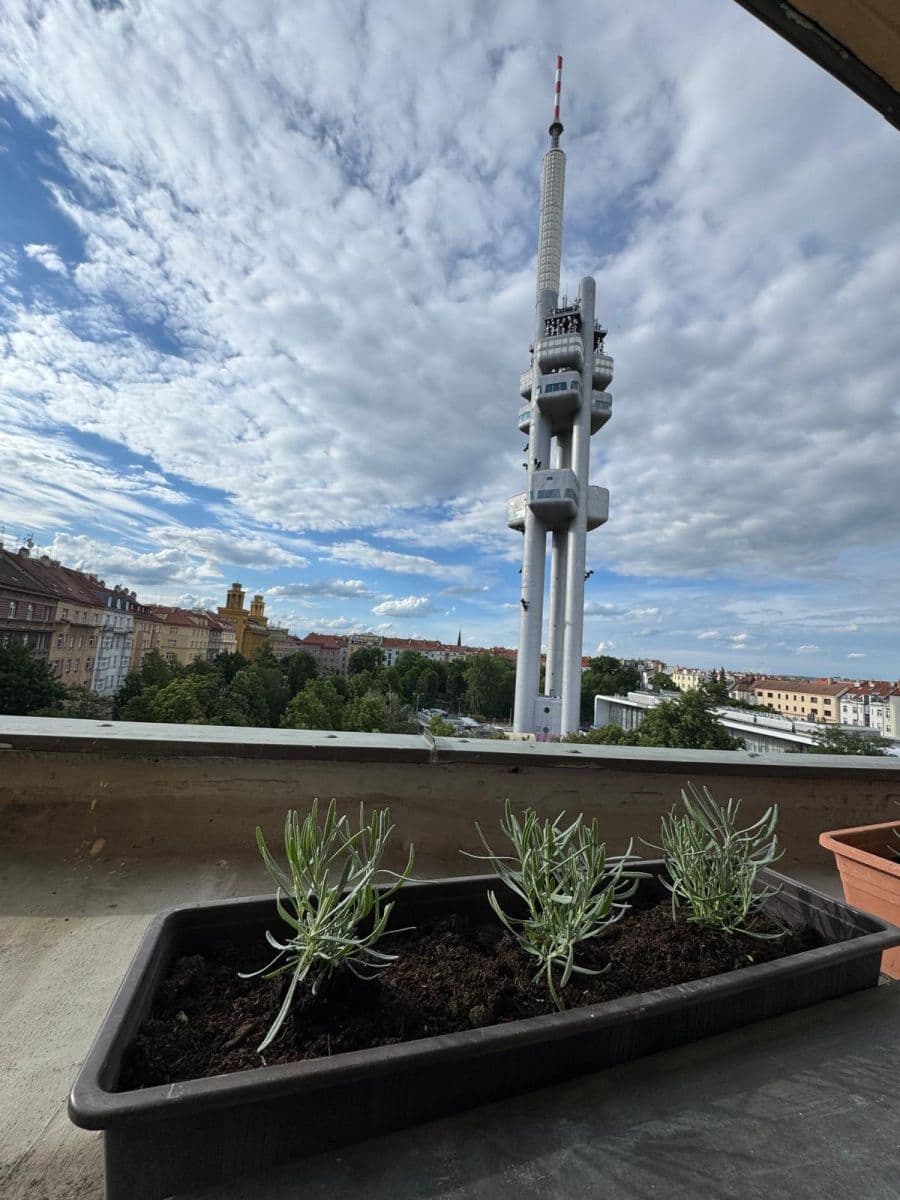 Prenájom bytu 2-izbový 74 m², Ondříčkova, Praha, Praha Prenájom bytu 2-izbový 74 m², Ondříčkova, Praha, Praha
