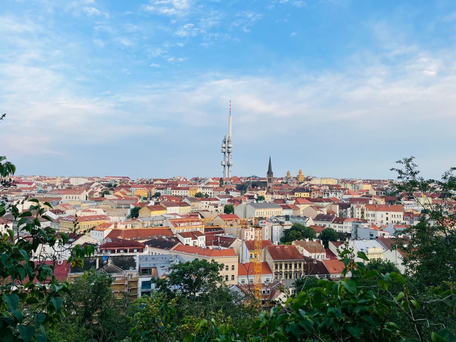 Prenájom bytu 1-izbový 44 m², Koněvova, Praha, Praha Prenájom bytu 1-izbový 44 m², Koněvova, Praha, Praha