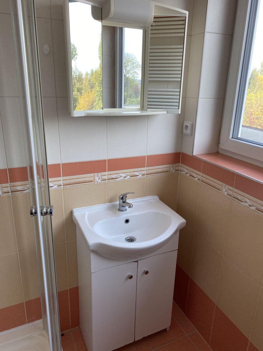 Prenájom bytu 1-izbový 19 m², Buštěhradská, Praha, Praha Prenájom bytu 1-izbový 19 m², Buštěhradská, Praha, Praha