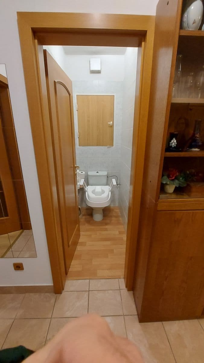 Prenájom bytu 2-izbový 74 m², Palackého třída, Brno, Jihomoravský kraj Prenájom bytu 2-izbový 74 m², Palackého třída, Brno, Jihomoravský kraj