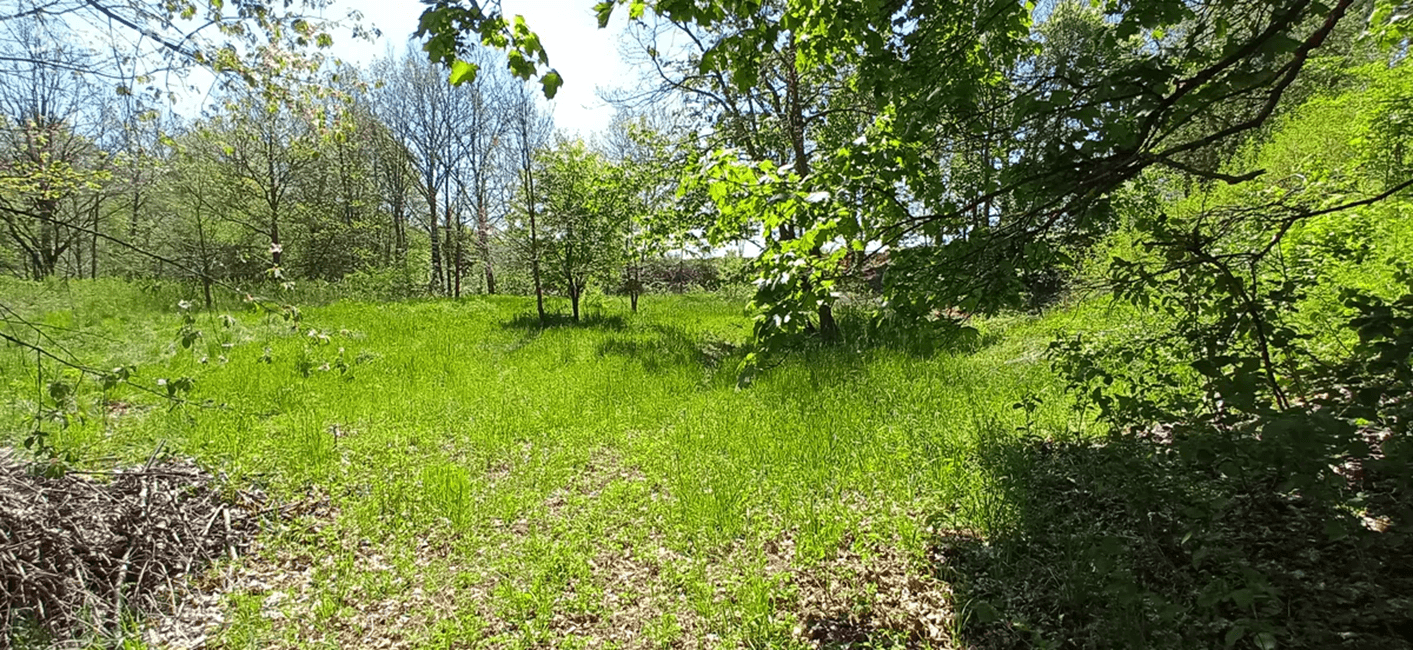 Predaj pozemku 4.000 m², Rakovice, Jihočeský kraj Predaj pozemku 4.000 m², Rakovice, Jihočeský kraj