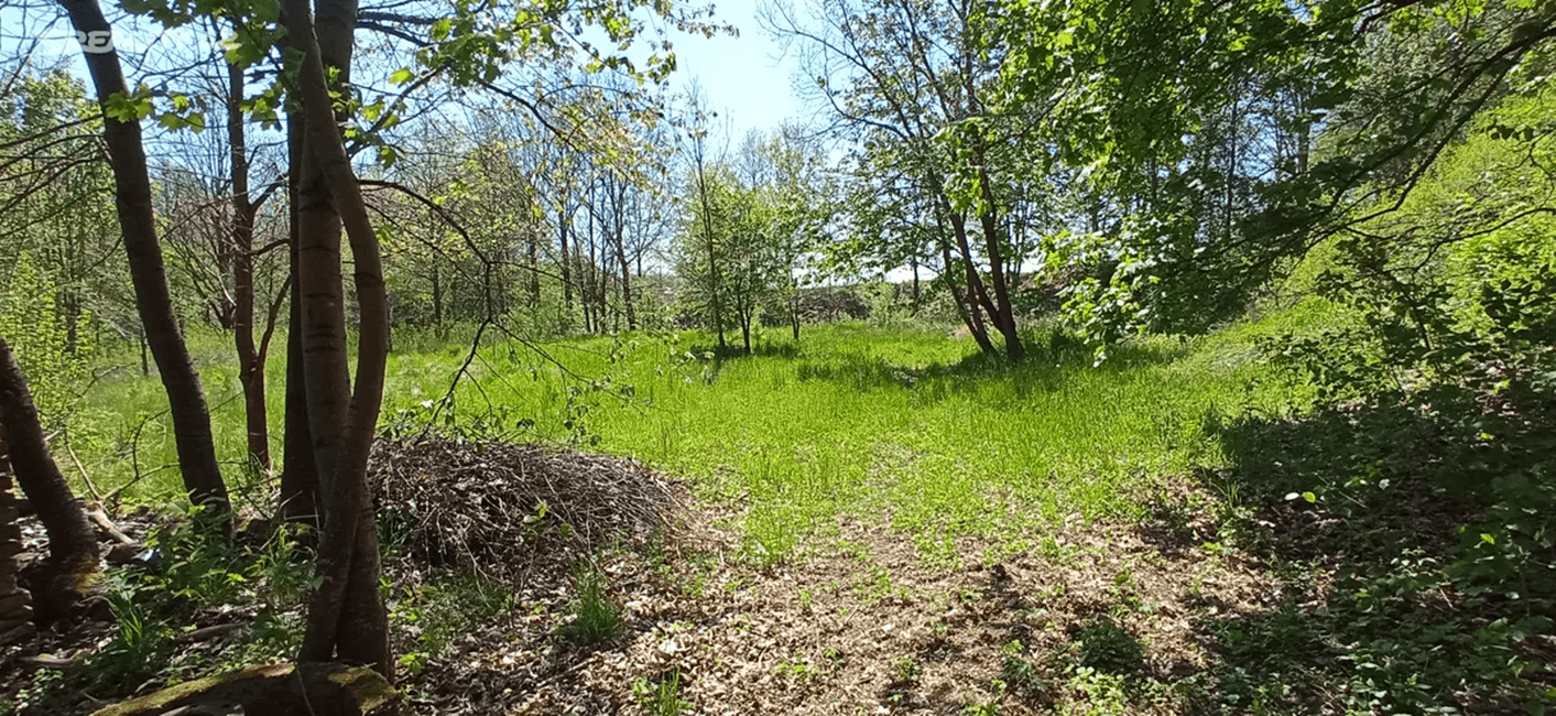 Predaj pozemku 4.000 m², Rakovice, Jihočeský kraj Predaj pozemku 4.000 m², Rakovice, Jihočeský kraj