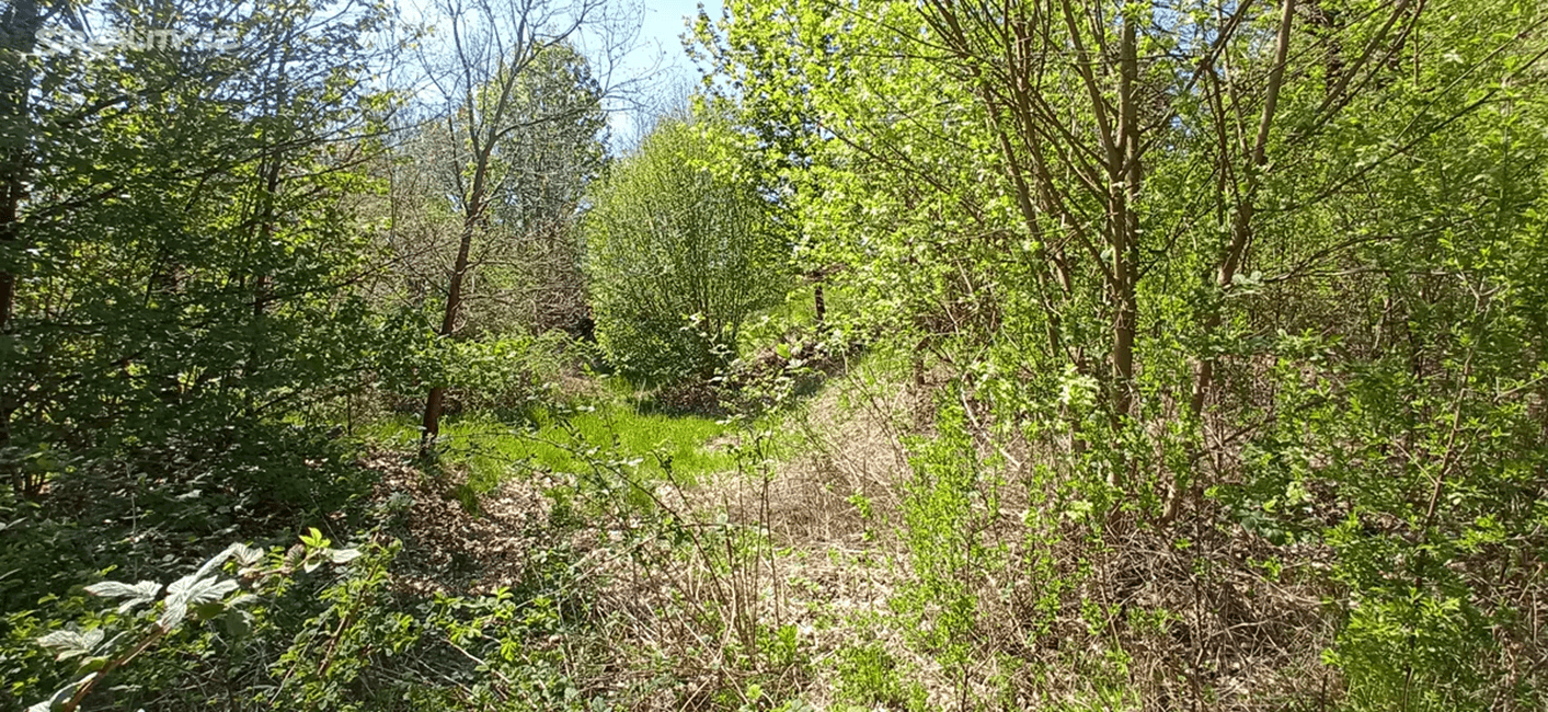 Predaj pozemku 4.000 m², Rakovice, Jihočeský kraj Predaj pozemku 4.000 m², Rakovice, Jihočeský kraj