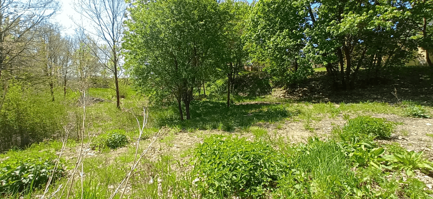 Predaj pozemku 4.000 m², Rakovice, Jihočeský kraj Predaj pozemku 4.000 m², Rakovice, Jihočeský kraj