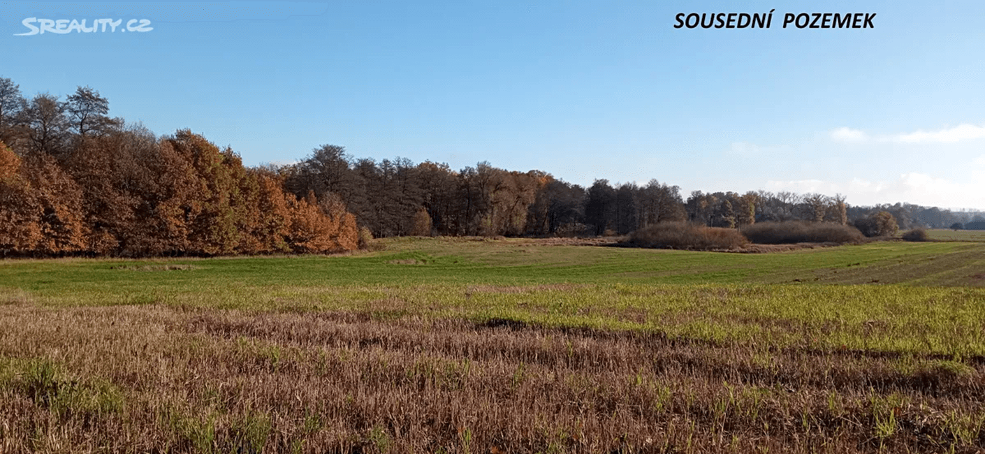 Predaj pozemku 4.000 m², Rakovice, Jihočeský kraj Predaj pozemku 4.000 m², Rakovice, Jihočeský kraj